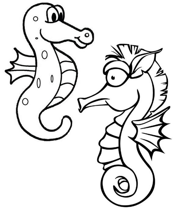 fun printable baby seahorses coloring pages