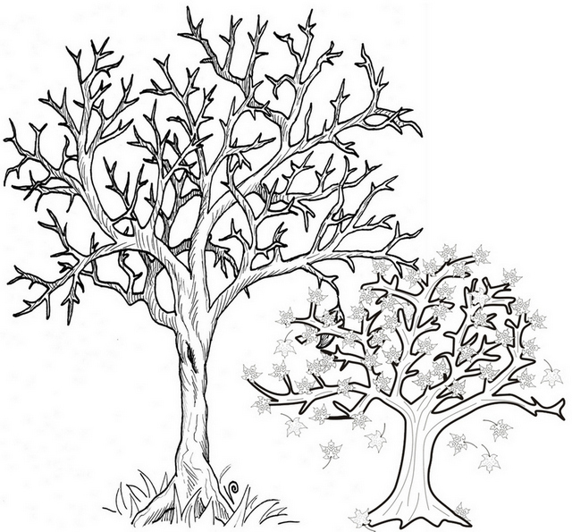 Printable Fall Tree Coloring Page trees shedding their leaves coloring sheet