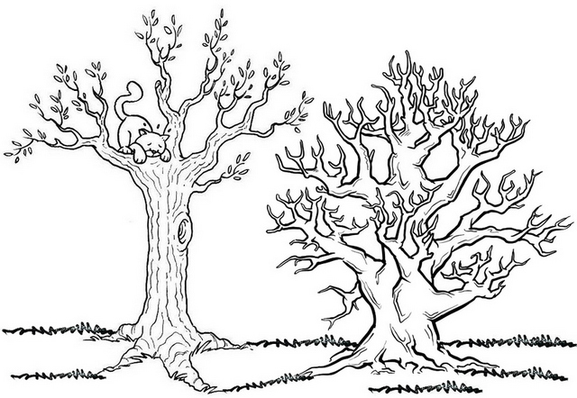 deciduous forest fall tree coloring page
