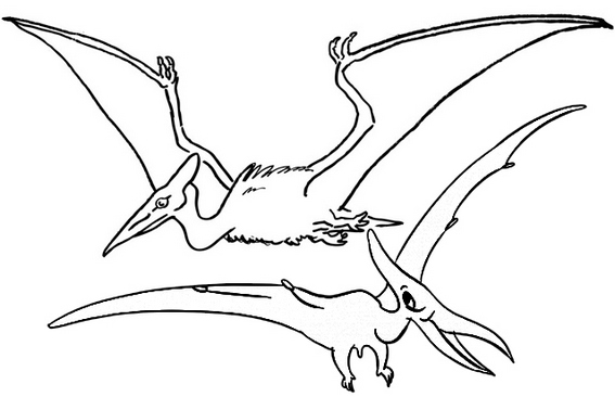 Fun Pterosaur coloring page