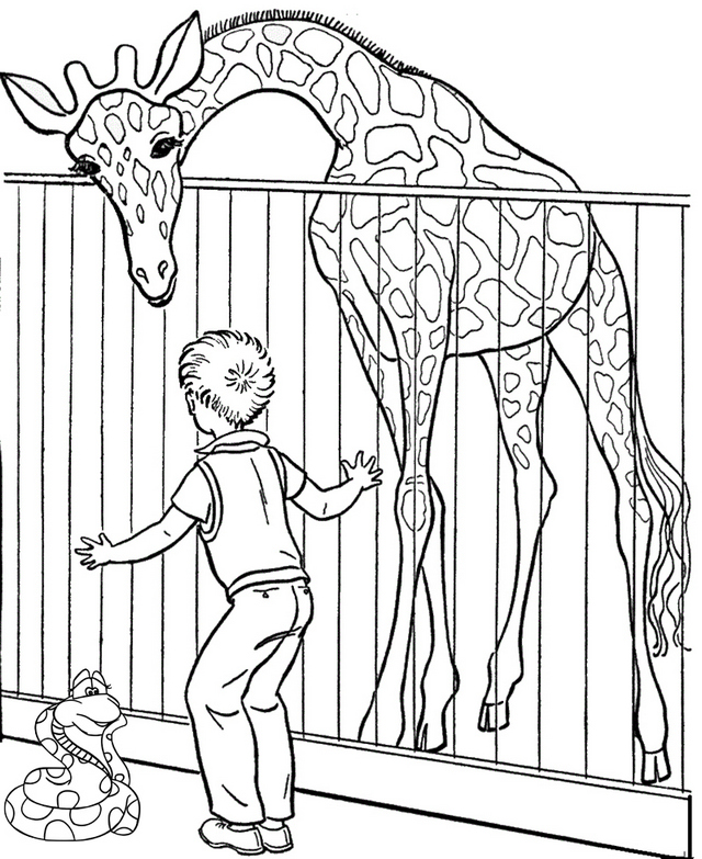 Zoo Giraffe Coloring Page for children