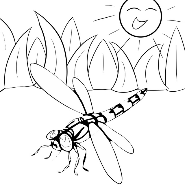 best dragonfly coloring page for kids