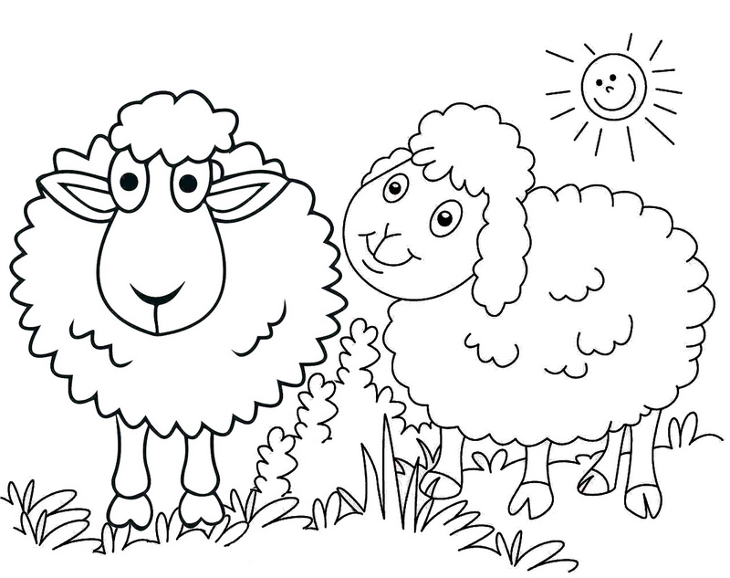 cute a couple of sheeps coloring page