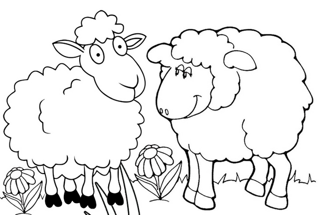 fun sheep coloring page printable