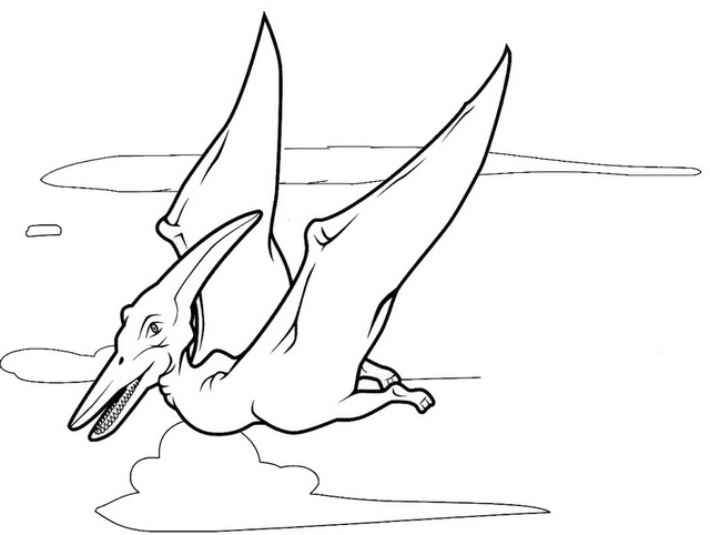 pterodactyl coloring page for kids