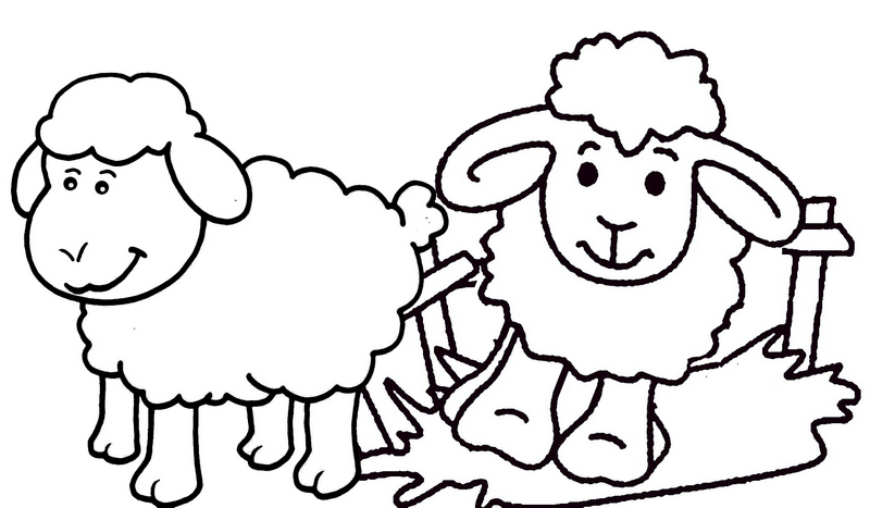 sheep farming coloring page for kids