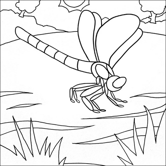 top dragonfly coloring page online