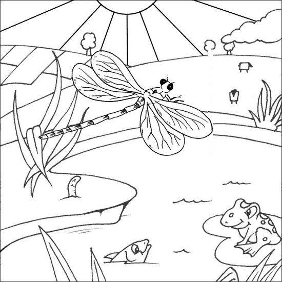 wonderful dragonfly coloring page for kids