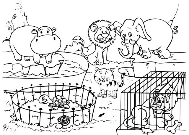 zoo animal cage set coloring page package