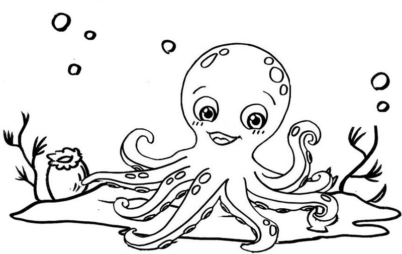 Beautiful Octopus Coloring Page