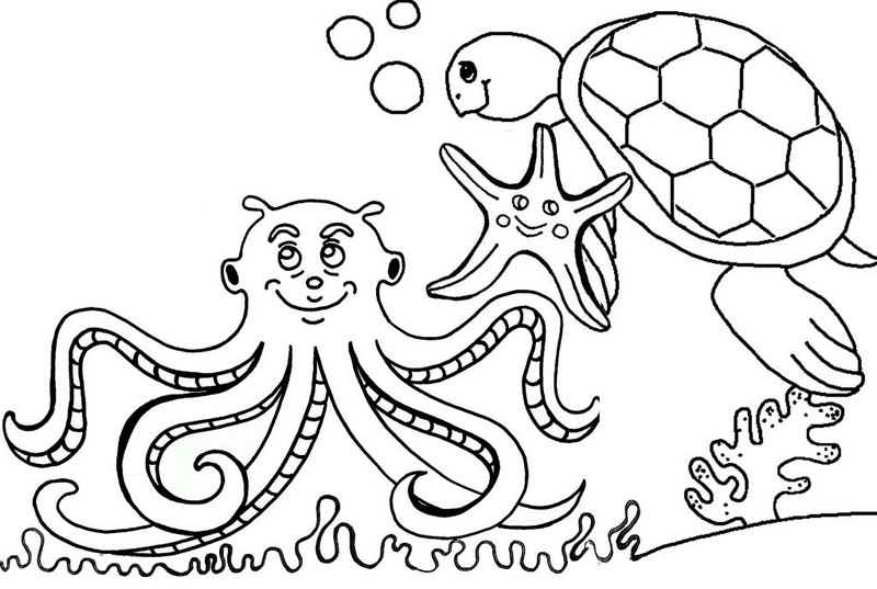 Best Octopus Undersea Coloring Page with Starfish and Sea Turtle
