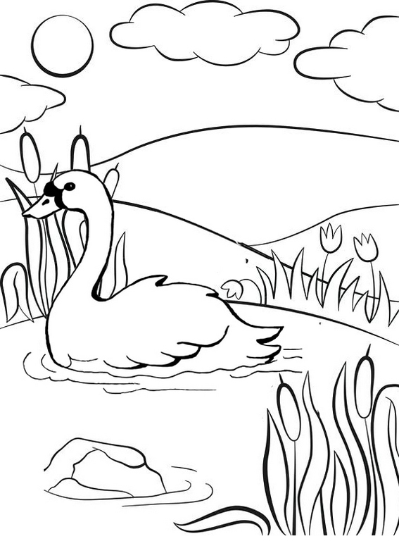 Goose Swimming on the lake Coloring Page