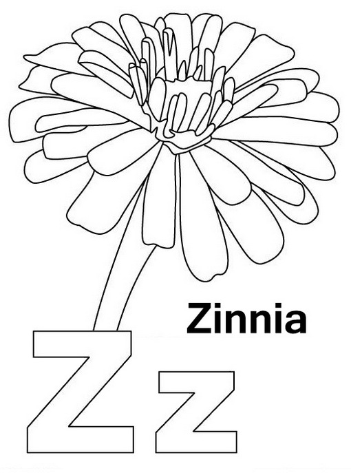 Letter Z for Zinnia Coloring Page