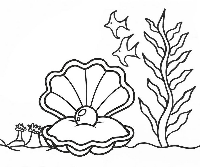 Open Oyster Pearl Undersea Coloring Page