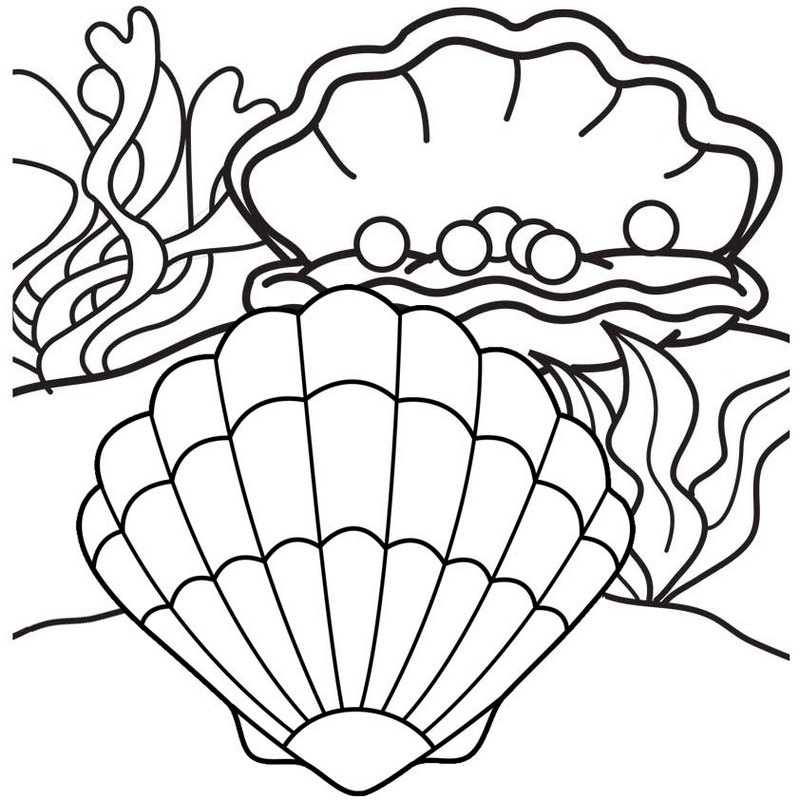 Pearl Oyster Coloring Page