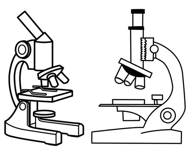 Top Microscope Drawing Page