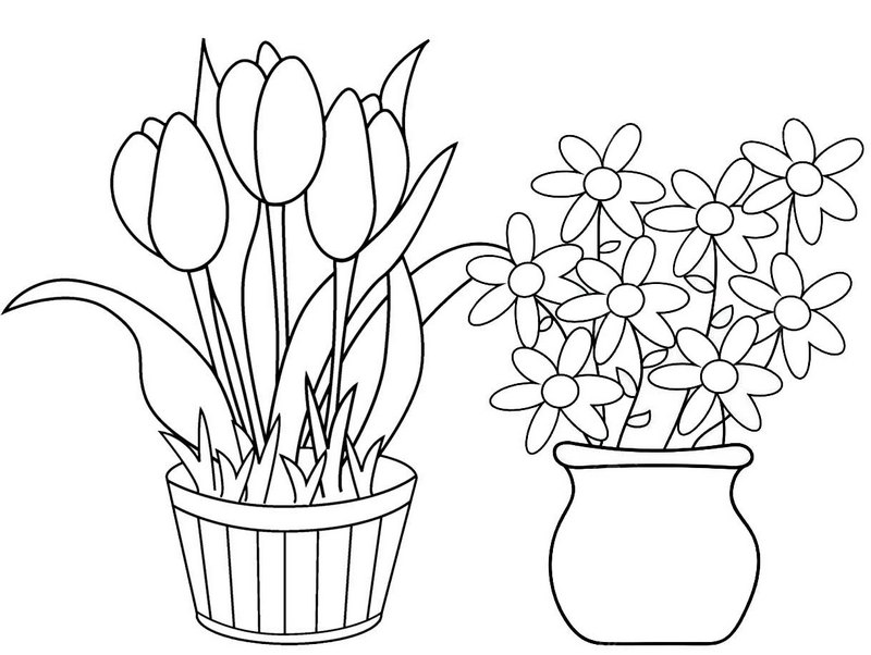 Wonderful Flower Pot Coloring Page for Girls