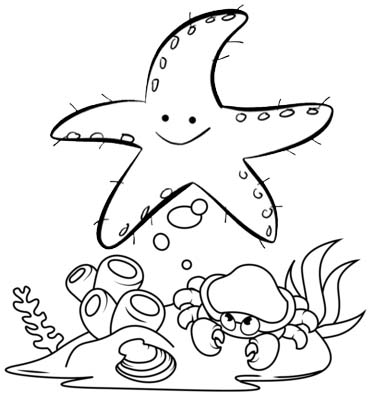 cute starfish coloring page for kids