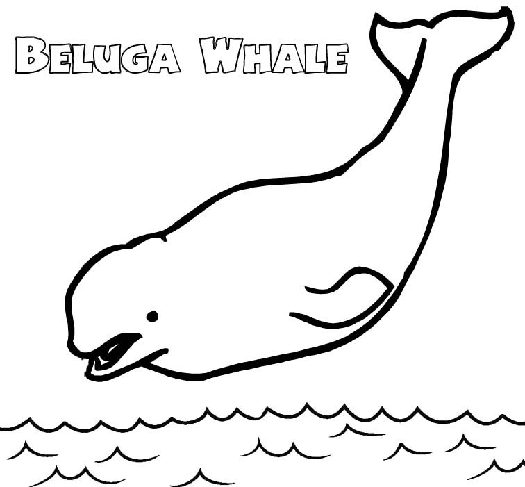 funny beluga whale coloring page