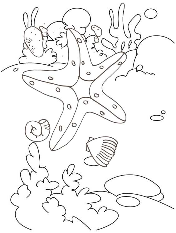 happy starfish coloring page