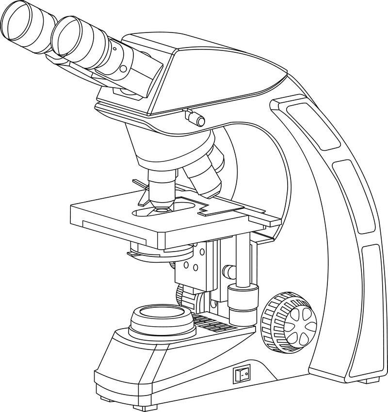 labeled microscope drawing page