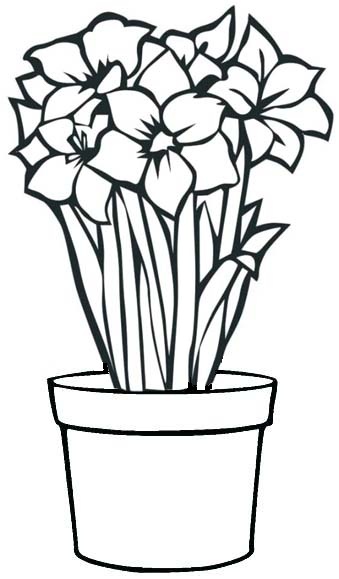 lily flower in pot coloring age