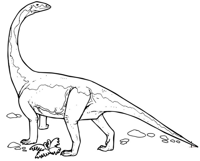 Interesting diplodocus coloring page