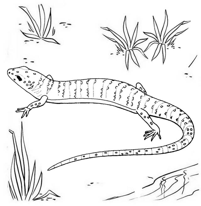 Gecko Screaming Coloring Page