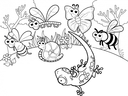 Gecko and Insects Bee Butterfly Dragonfly and Snail Coloring Page of Various Animal
