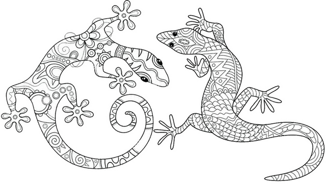 gecko zentangle coloring page