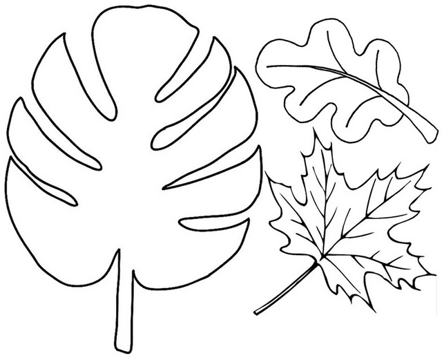 Leaves Nature Coloring Page