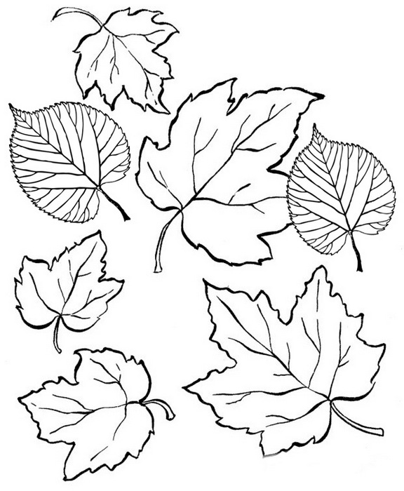 Simple Green Leaves Coloring Page