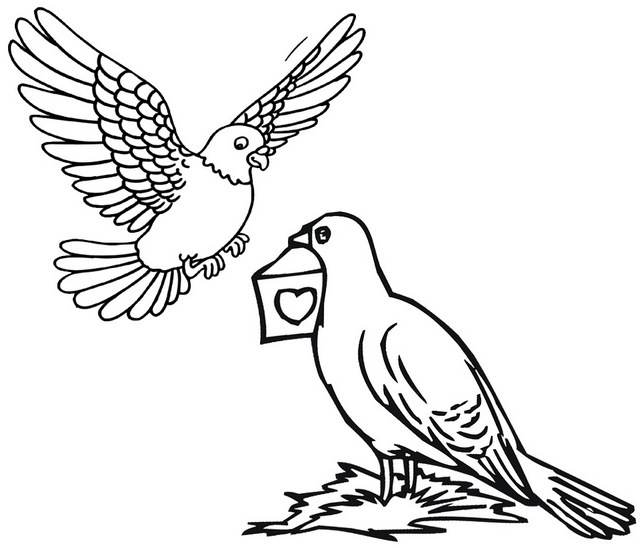 pigeon sending a message coloring page