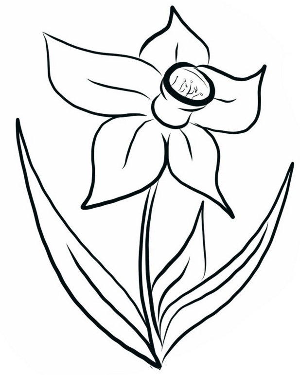 top daffodils coloring page