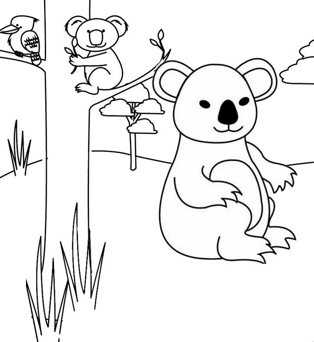 Australian Koala Bear Coloring Page