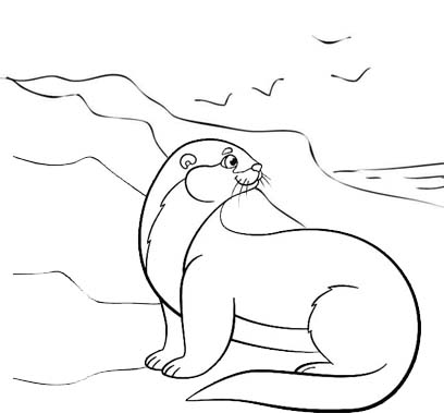 Realistic Ferret Coloring Page