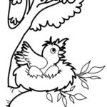 baby-bird-in-nest-coloring-page