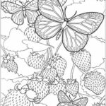 intricate-butterfly-coloring-sheet