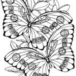 intricate-butterfly-drawing