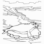 seal-winter-animal-drawing