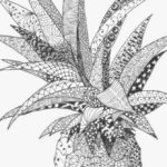 zen-art-pineapple-picture