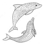 zentangle-dolphin-clipt-art
