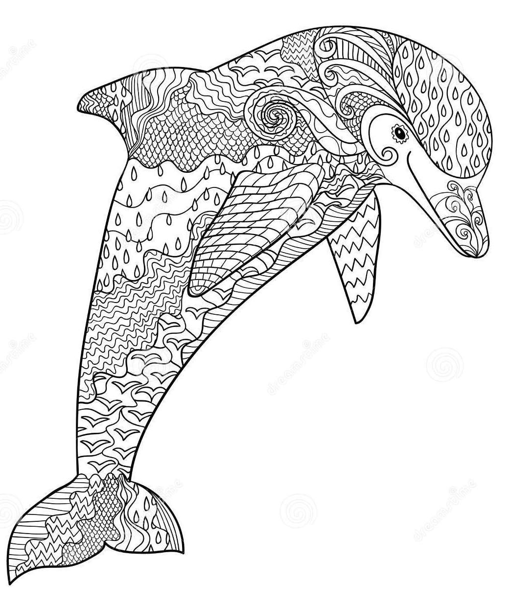 zentangle-dolphin-coloring-page-anti-stress