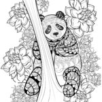 zentangle-panda-coloring-sheet-printable