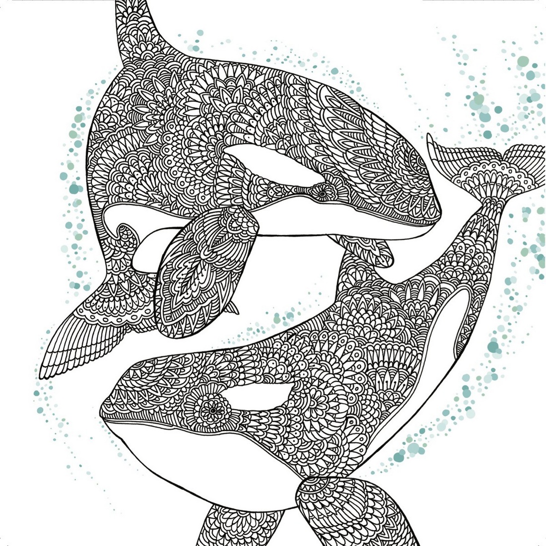The-Aquarium-Marine-Portraits-Coloring-Book-Dolphin