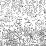 beautiful-enchanted-forest-coloring-book