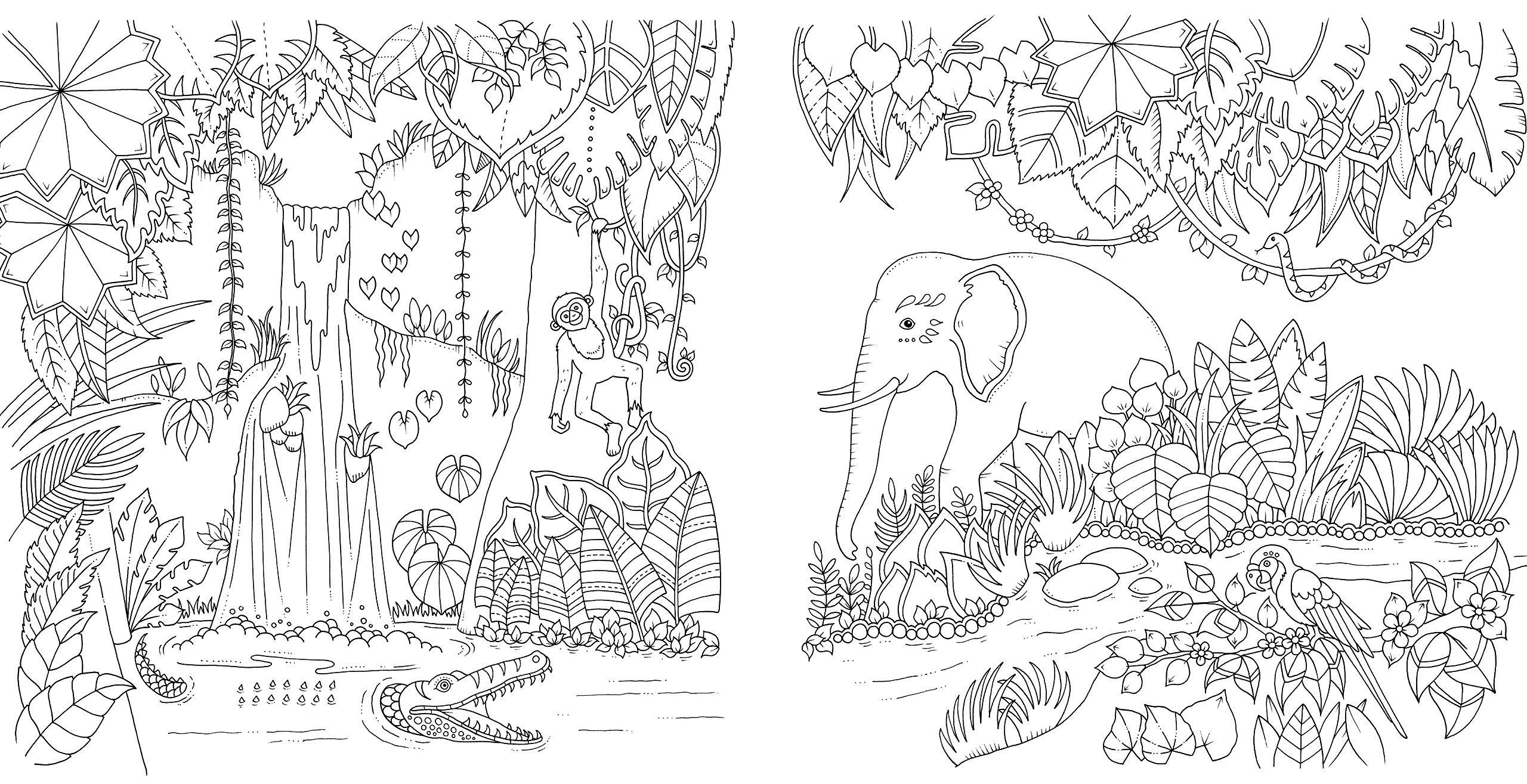Magical Jungle Elephant coloring book