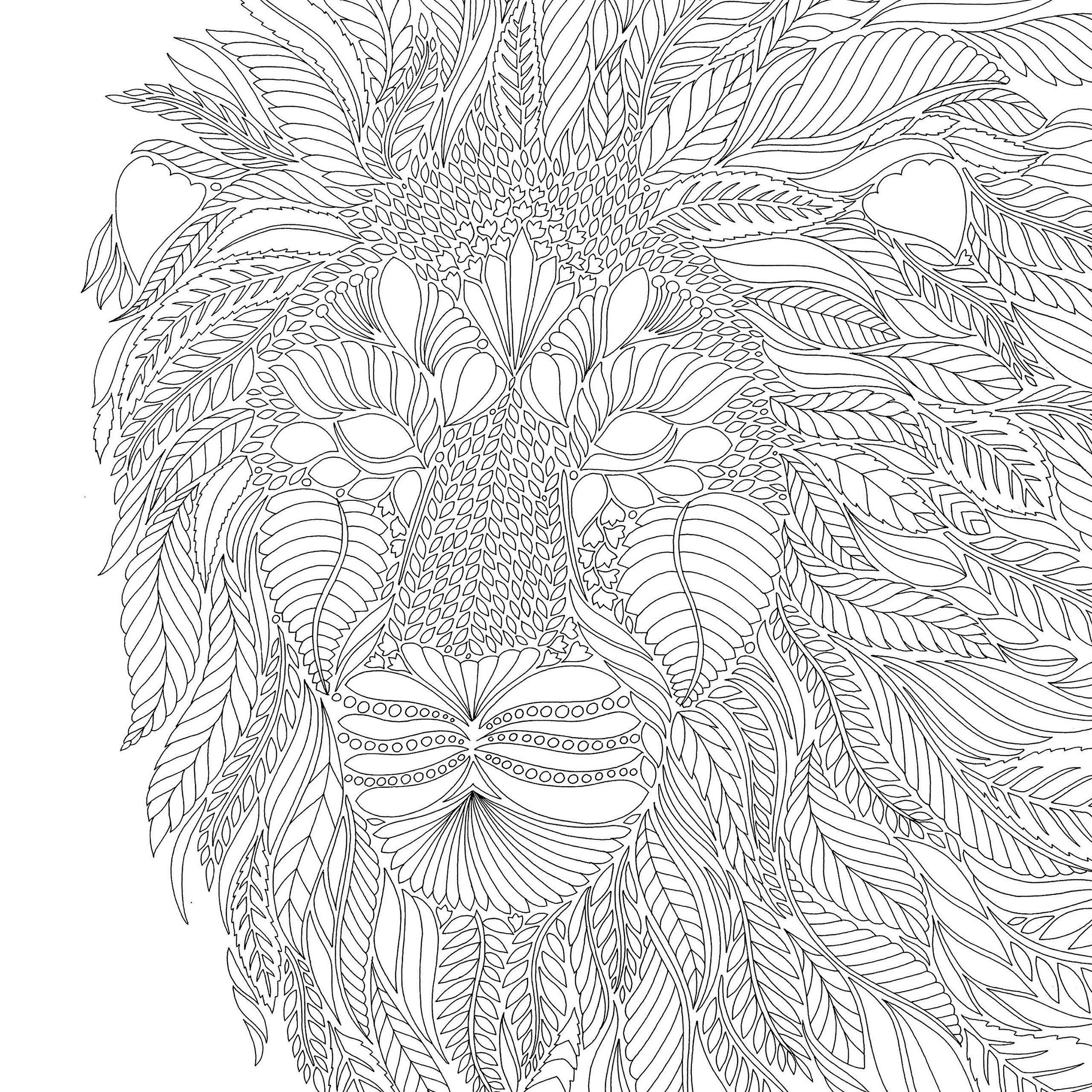 Magical Jungle Lion print out drawing