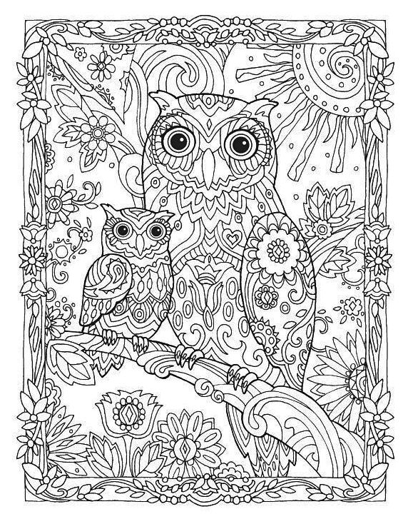 adorable-owls-mandala-background-coloring-page