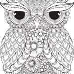 owl-mandala-coloring-book
